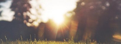 Ansicht sonniger Park Bewegungstreff